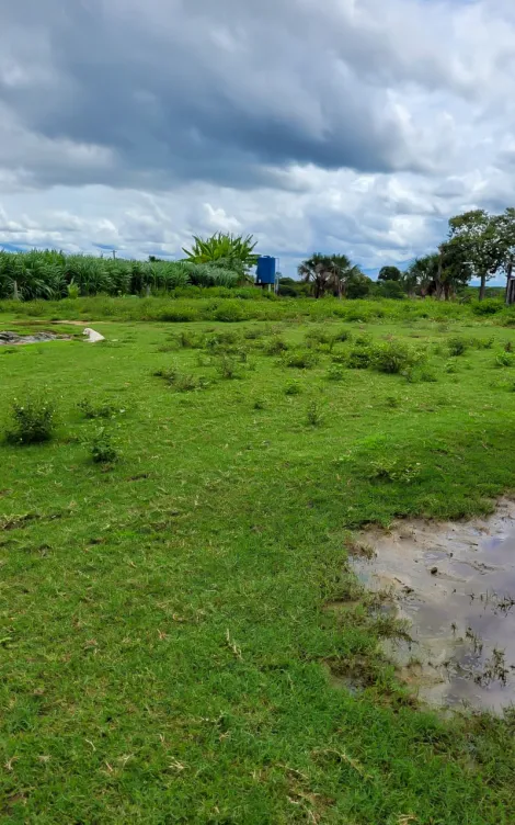 Fazenda com 1.370 Alqueires - Buritizeiro/MG