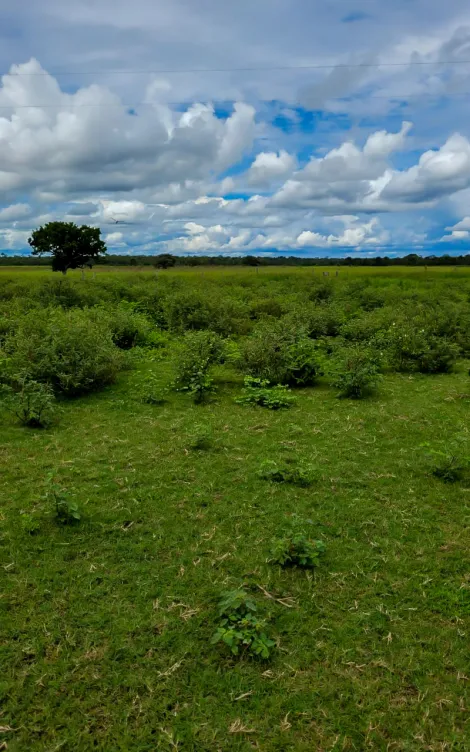 Fazenda com 1.370 Alqueires - Buritizeiro/MG