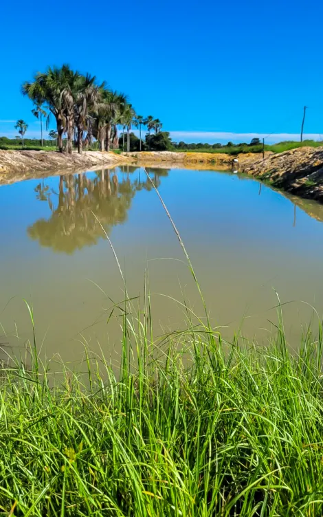 Fazenda com 1.370 Alqueires - Buritizeiro/MG