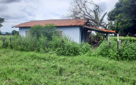 Fazenda com 184 ha - João Pinheiro/MG