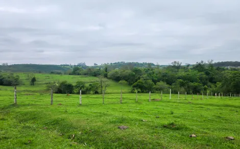 Sitio com 14,20 Alqueires Paulista - Localizado entre Corumbataí e Ferraz