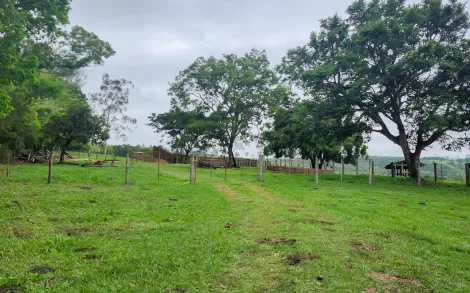imagem 2 - Sítio com 14,20 alqueires paulistas, entre Corumbataí e Ferraz. imagem 2 - Sítio com 14,20 alqueires paulistas, entre Corumbataí e Ferraz.
