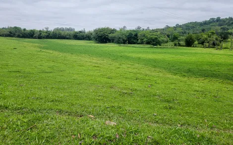 imagem 3 - Sítio com 14,20 alqueires paulistas, entre Corumbataí e Ferraz. imagem 3 - Sítio com 14,20 alqueires paulistas, entre Corumbataí e Ferraz.