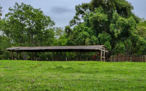 Sitio com 14,20 Alqueires Paulista - Localizado entre Corumbataí e Ferraz