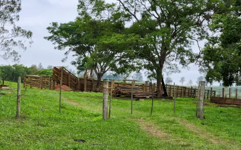 Sitio com 14,20 Alqueires Paulista - Localizado entre Corumbataí e Ferraz