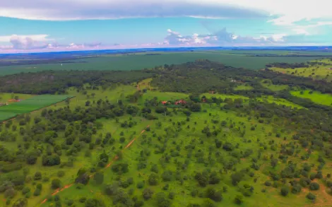 imagem 4 - Fazenda com 45,6 Alqueires - Campina Verde/MG imagem 4 - Fazenda com 45,6 Alqueires - Campina Verde/MG