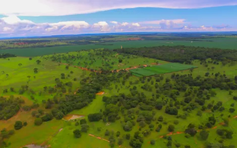 imagem 5 - Fazenda com 45,6 Alqueires - Campina Verde/MG imagem 5 - Fazenda com 45,6 Alqueires - Campina Verde/MG