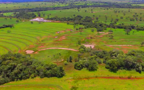 Fazenda com 45,6 Alqueires - Campina Verde/MG