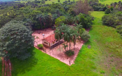 imagem 3 - Fazenda com 45,6 Alqueires - Campina Verde/MG imagem 3 - Fazenda com 45,6 Alqueires - Campina Verde/MG