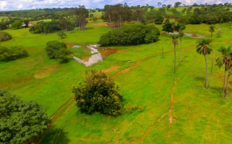 imagem 2 - Fazenda com 45,6 Alqueires - Campina Verde/MG imagem 2 - Fazenda com 45,6 Alqueires - Campina Verde/MG