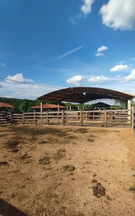 imagem 5 - Fazenda com 20 Alqueires Mineiro - Prata/MG imagem 5 - Fazenda com 20 Alqueires Mineiro - Prata/MG
