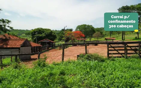 imagem 4 - Fazenda com 21 Alqueires Mineiro em Uberlândia - MG imagem 4 - Fazenda com 21 Alqueires Mineiro em Uberlândia - MG