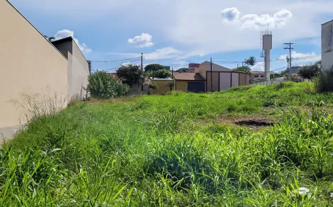 imagem 1 - Terreno com 125 m² - Vila Paulista, Rio Claro/SP imagem 1 - Terreno com 125 m² - Vila Paulista, Rio Claro/SP