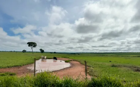 Fazenda com 37,2 Alqueires Mineiro - São Sebastião do Pontal Carneirinho/MG