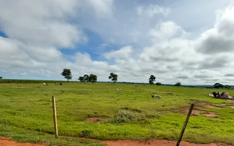 imagem 2 - Fazenda com 37,2 Alqueires Mineiro - São Sebastião do Pontal Carneirinho/MG imagem 2 - Fazenda com 37,2 Alqueires Mineiro - São Sebastião do Pontal Carneirinho/MG