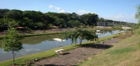 imagem 1 - Imóvel com 1 Alqueire Paulista - Chácara Santa Regina, Viradouro/SP imagem 1 - Imóvel com 1 Alqueire Paulista - Chácara Santa Regina, Viradouro/SP