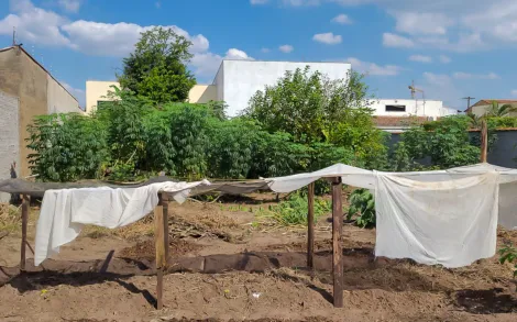 Terreno, 842,10m² - Alto do Santana, Rio Claro/SP