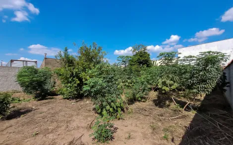 imagem 1 - Terreno - Padrão imagem 1 - Terreno - Padrão