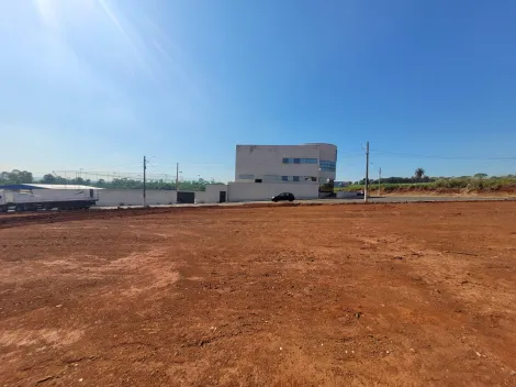 imagem 1 - Terreno, 250m² - Jardim D'Itália I, Santa Gertrudes/SP imagem 1 - Terreno, 250m² - Jardim D'Itália I, Santa Gertrudes/SP