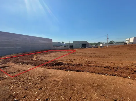 imagem 1 - Terreno, 250m² - Jardim D'Itália I, Santa Gertrudes/SP imagem 1 - Terreno, 250m² - Jardim D'Itália I, Santa Gertrudes/SP