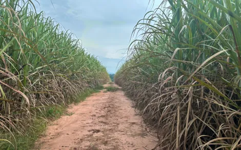 imagem 4 - Terreno - Área imagem 4 - Terreno - Área