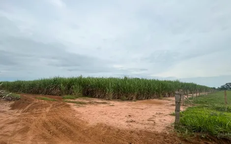 Área Rural com 22.700 Alqueires Paulista (54.9340 hectares) - Campo do Cocho, Rio Claro/SP