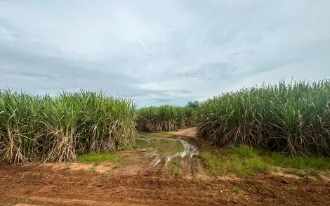 Área Rural com 22.700 Alqueires Paulista (54.9340 hectares) - Campo do Cocho, Rio Claro/SP