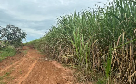 imagem 3 - Terreno - Área imagem 3 - Terreno - Área