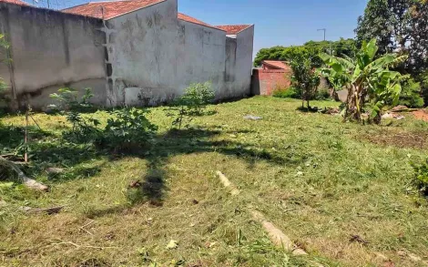 imagem 1 - Terreno - Padrão imagem 1 - Terreno - Padrão