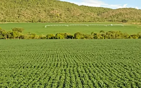 Fazenda com 554 Hectares - Unaí/MG