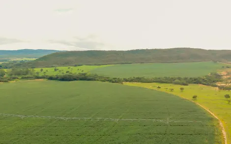 Fazenda com 554 Hectares - Unaí/MG