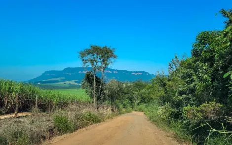 Sítio com 1,4 Alqueires Paulista - Ipeúna/SP