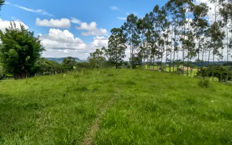 imagem 2 - Sitio, 20.000 m² - Bairro do Matão - Corumbataí imagem 2 - Sitio, 20.000 m² - Bairro do Matão - Corumbataí