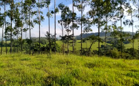 Alugar Rural / Sítio em Corumbataí. apenas R$ 250.000,00