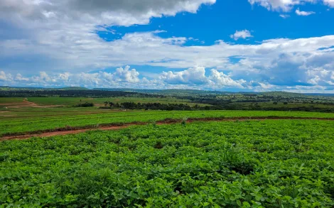 imagem 2 - Fazenda com 52 Alqueires Mineiro - Prata/MG imagem 2 - Fazenda com 52 Alqueires Mineiro - Prata/MG