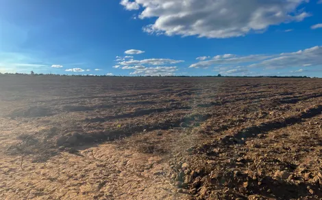 imagem 3 - Fazenda com 2.217 Hectares - Unaí/MG imagem 3 - Fazenda com 2.217 Hectares - Unaí/MG