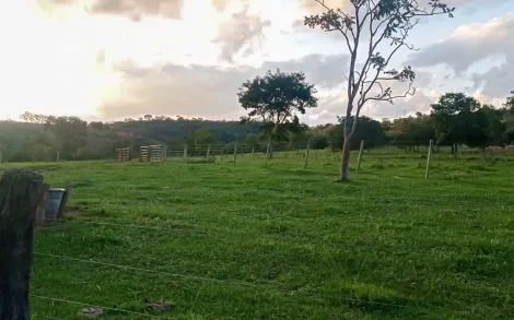 Fazenda com 45 Alqueires Mineiro - Patos de Minas/MG