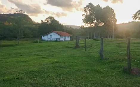 imagem 4 - Fazenda com 45 Alqueires Mineiro - Patos de Minas/MG imagem 4 - Fazenda com 45 Alqueires Mineiro - Patos de Minas/MG