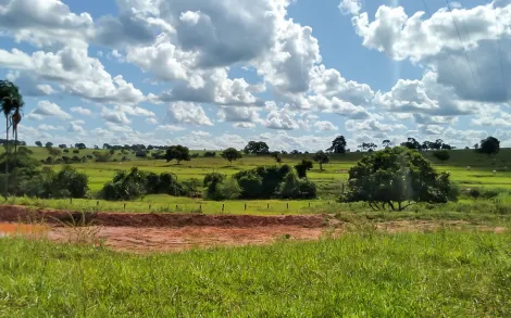 imagem 1 - Fazenda com 55 Alqueires Mineiro - Campina Verde/MG imagem 1 - Fazenda com 55 Alqueires Mineiro - Campina Verde/MG