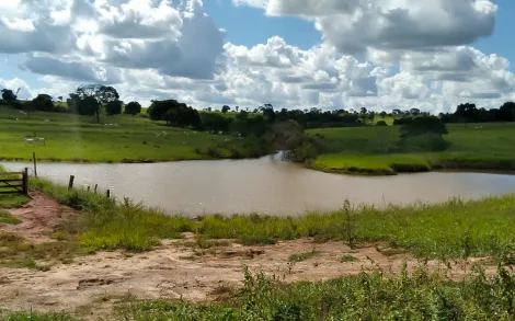 imagem 3 - Fazenda com 55 Alqueires Mineiro - Campina Verde/MG imagem 3 - Fazenda com 55 Alqueires Mineiro - Campina Verde/MG