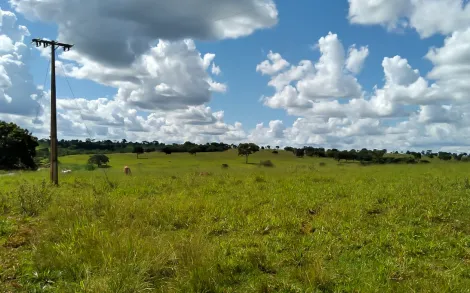 Fazenda com 55 Alqueires Mineiro - Campina Verde/MG