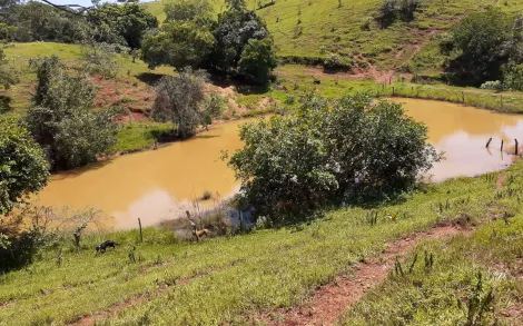 imagem 1 - Fazenda com 33 Hectares - Catalão/GO imagem 1 - Fazenda com 33 Hectares - Catalão/GO