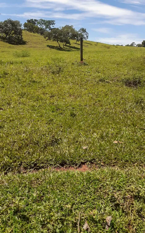 imagem 2 - Fazenda com 33 Hectares - Catalão/GO imagem 2 - Fazenda com 33 Hectares - Catalão/GO