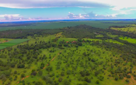 imagem 1 - Fazenda com 45,6 Alqueires - Campina Verde/MG imagem 1 - Fazenda com 45,6 Alqueires - Campina Verde/MG
