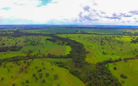 imagem 2 - Fazenda com 45,6 Alqueires - Campina Verde/MG imagem 2 - Fazenda com 45,6 Alqueires - Campina Verde/MG
