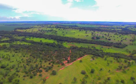 imagem 3 - Fazenda com 45,6 Alqueires - Campina Verde/MG imagem 3 - Fazenda com 45,6 Alqueires - Campina Verde/MG