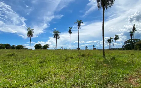 imagem 4 - Fazenda com 45,6 Alqueires - Campina Verde/MG imagem 4 - Fazenda com 45,6 Alqueires - Campina Verde/MG