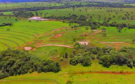 Fazenda com 45,6 Hectares - Campina Verde/MG