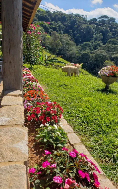 Fazenda com 73 Hectares - Capitólio/MG