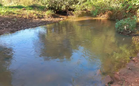 Fazenda com 29,5 Hectares - Ituiutaba/MG